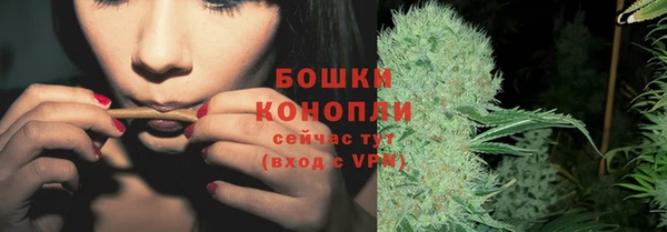 винт Лабытнанги