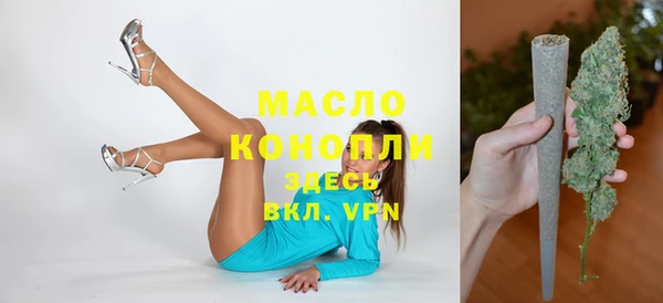 индика Липки