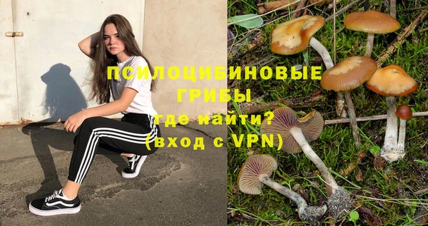 кокс Ладушкин