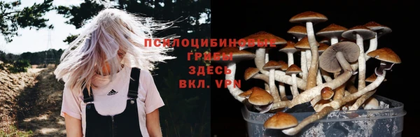 винт Лабытнанги