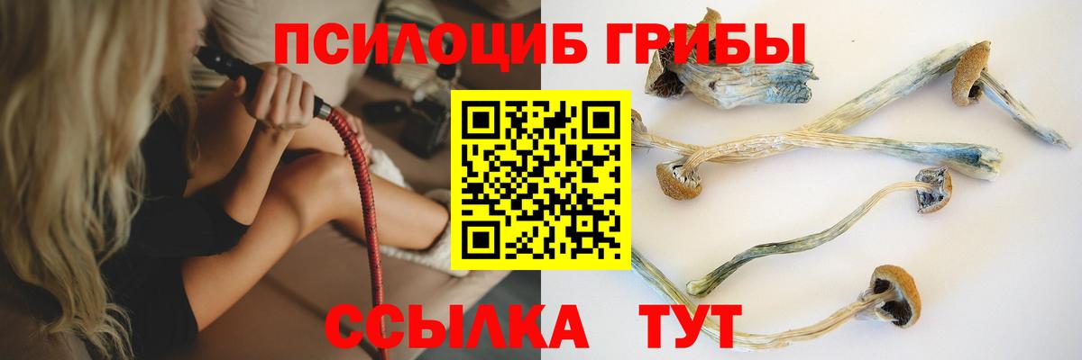 Галлюциногенные грибы Psilocybe  Вход с VPN  Сегежа 